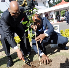 The President of India Shri Ram Nath Kovind plant saplings of Indian Sandalwood (Santalum album) in the front lawn of Raj Bhavan, Itanagar on 20th November 2017.